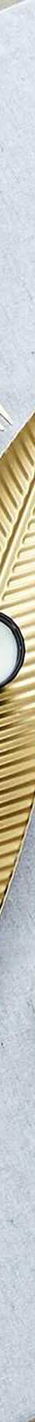 Tafeldecoratie, goudkleurig blad (goudkleurig) Tafeldecoratie, goudkleurig blad (goudkleurig)